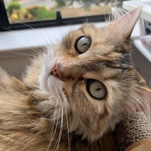 Meet your Posher, Ning